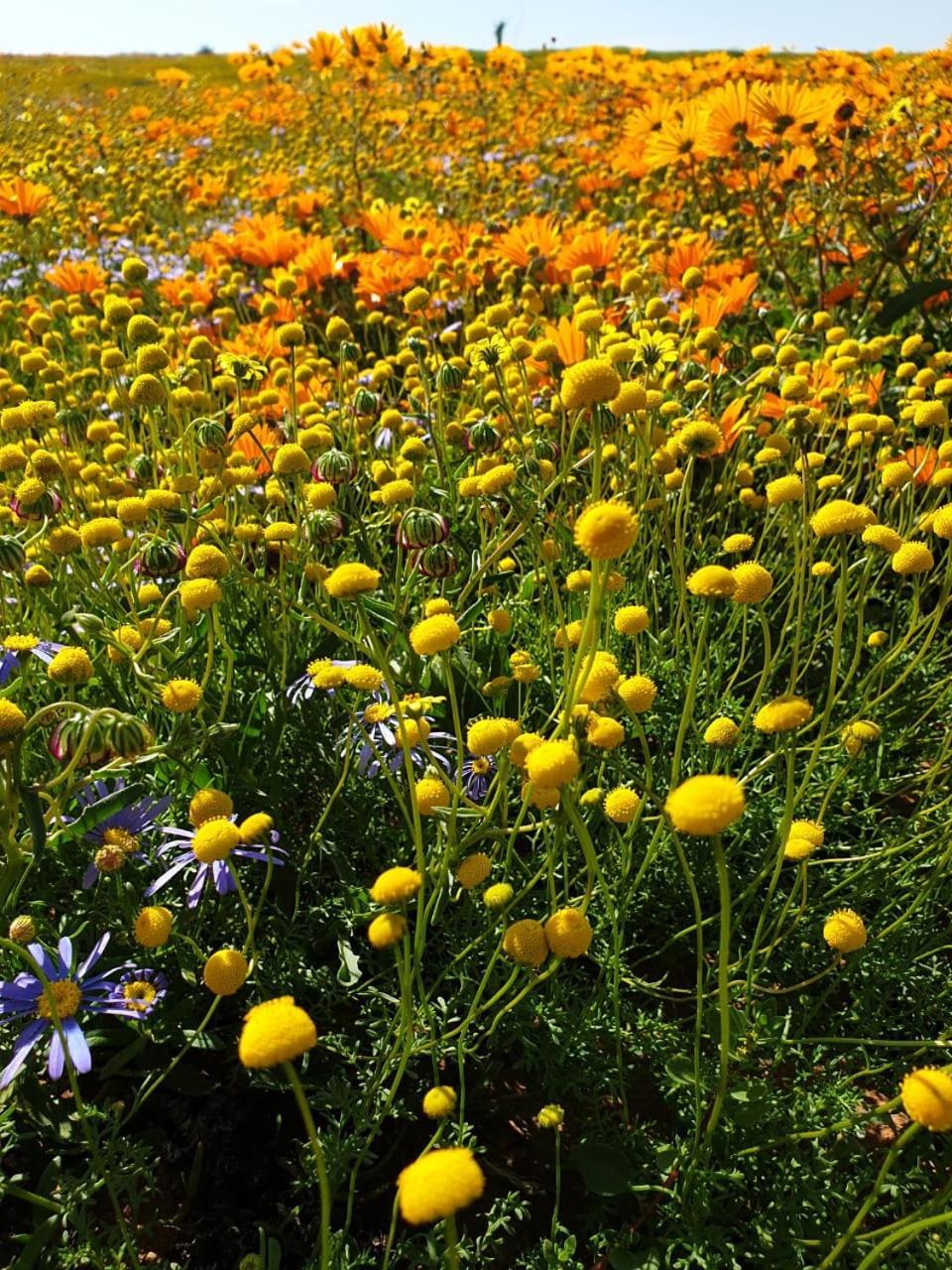 Namaqualand Eco Lodge Soebatsfontein Exterior foto