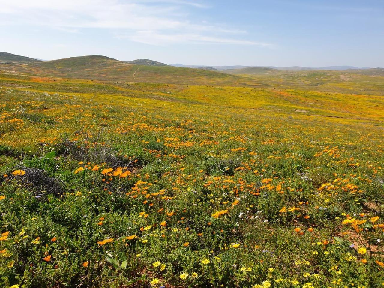 Namaqualand Eco Lodge Soebatsfontein Exterior foto